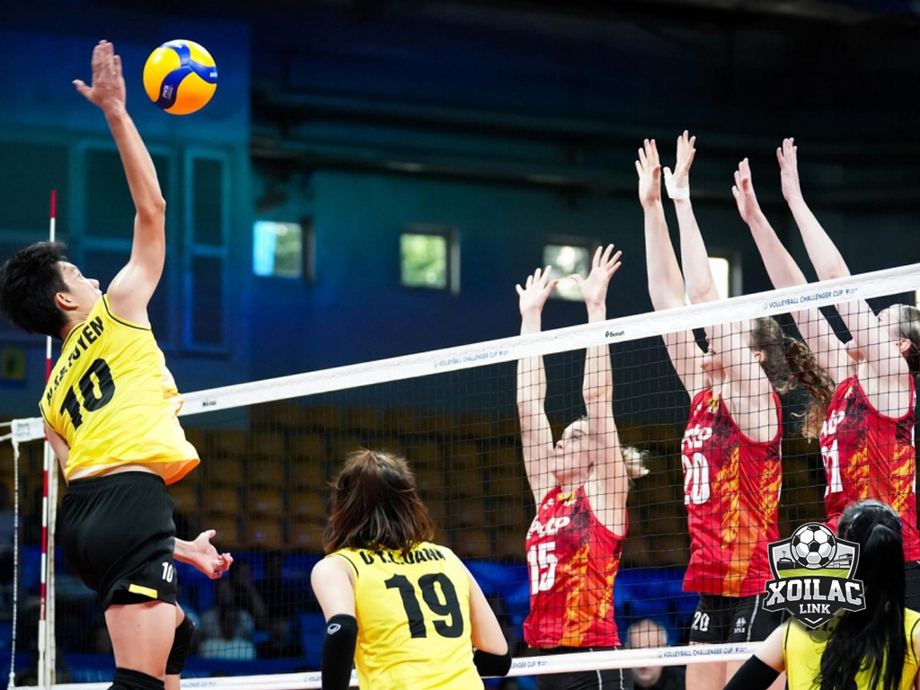 Bóng chuyền là gì? Luật chơi, kỹ thuật và tuyển nữ Việt Nam