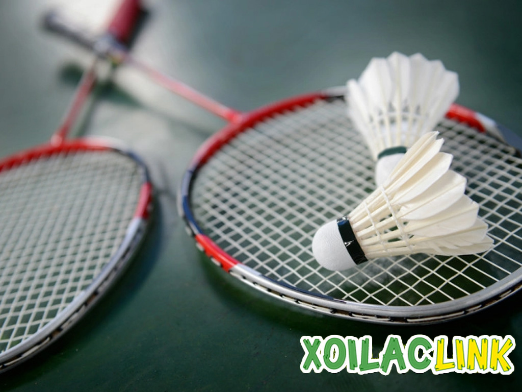 cau-long-la-mon-the-thao-pho-bien