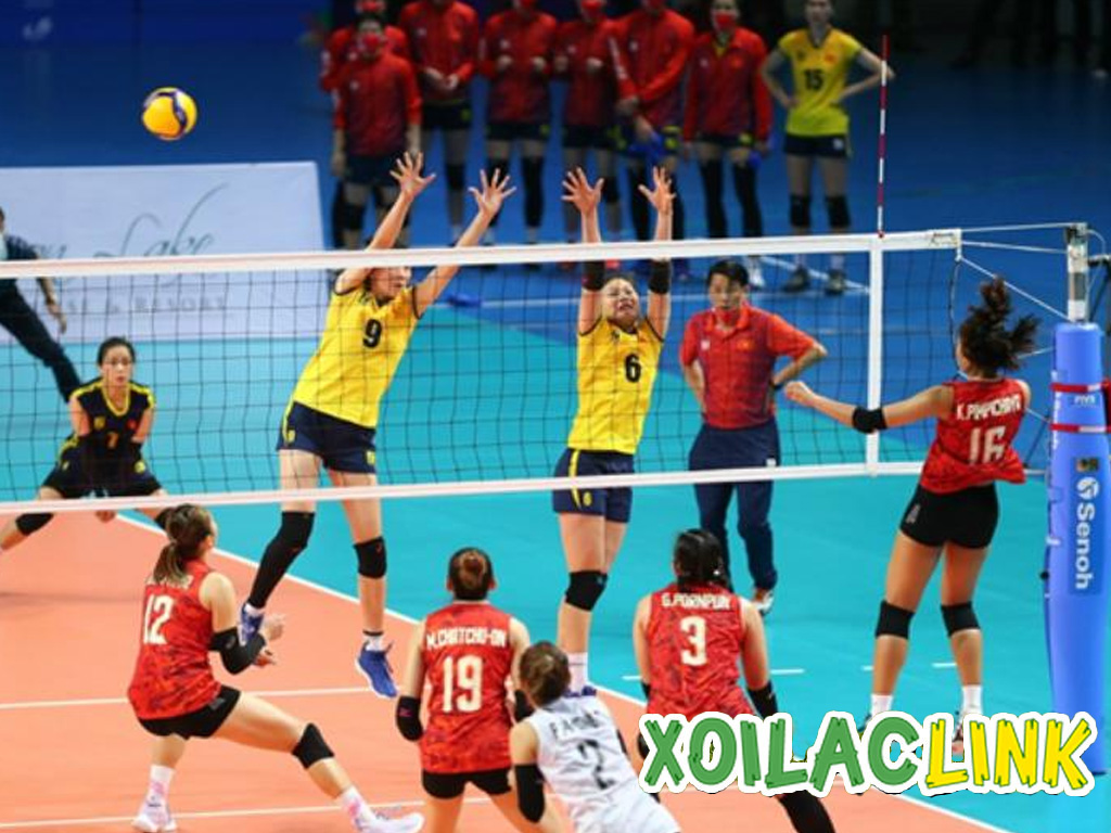 Luật trong thể thao: Bóng chuyền, bóng rổ, cờ vua và đá cầu