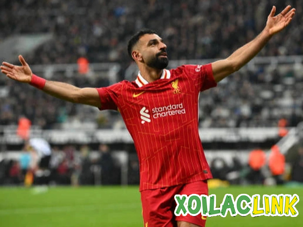 Đội hình tiêu biểu Ngoại Hạng Anh 2022: Những ngôi sao tỏa sáng